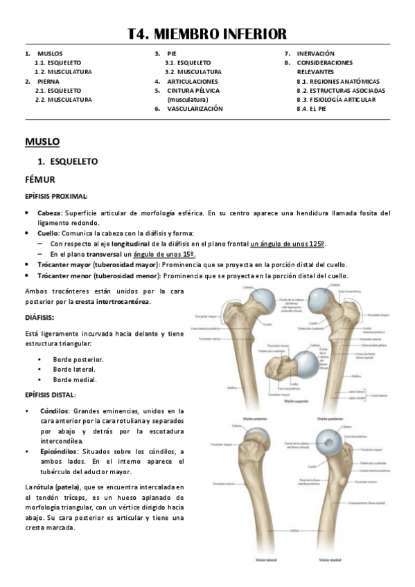 Miniatura del documento T4-MIEMBRO-INFERIOR.pdf