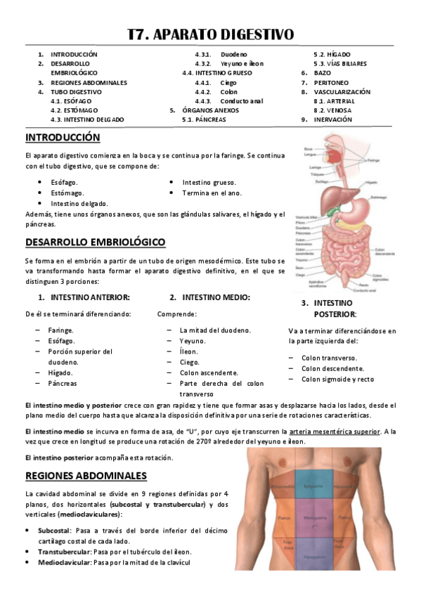 Miniatura del documento T7-APARATO-DIGESTIVO.pdf