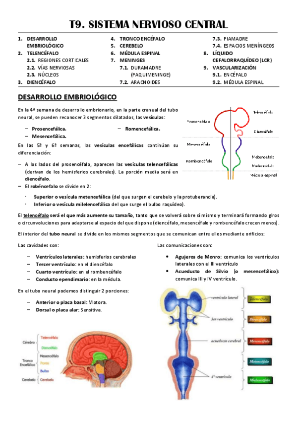 Miniatura del documento T9-SISTEMA-NERVIOSO-CENTRAL.pdf