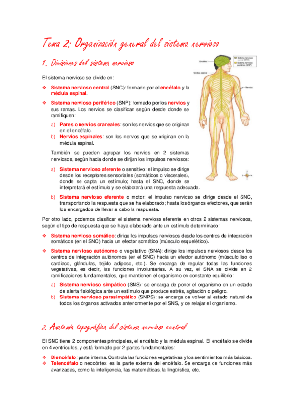 Miniatura del documento Fisiología-1er-parcial.pdf