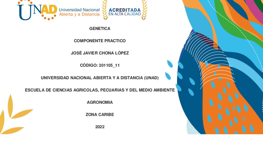 Miniatura del documento Diapositivas-Jose-Javier-Chona-Lopez-Grupo-11.pdf