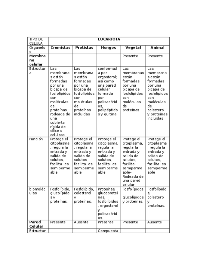 Miniatura del documento celula-eucariota-reinos-y-organelos.-1.docx