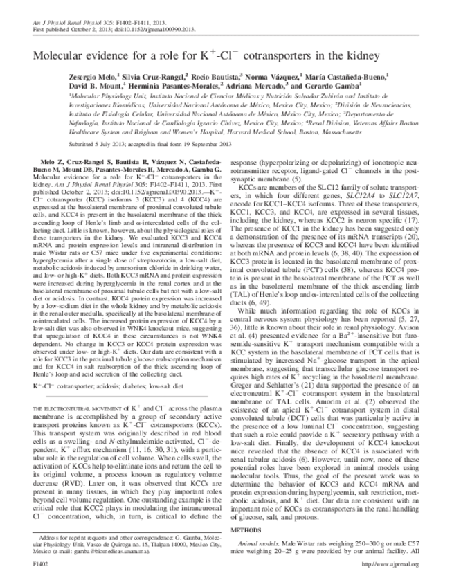 Miniatura del documento MolecularevidenceforaroleforKClc.pdf
