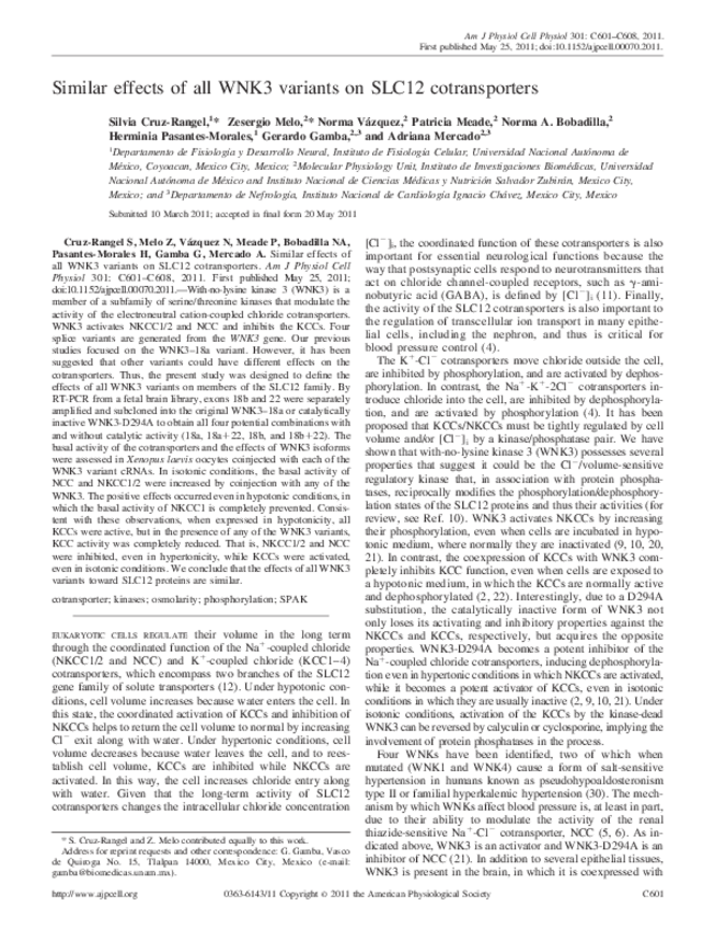 Miniatura del documento SimilareffectsofallWNK3variantson.pdf