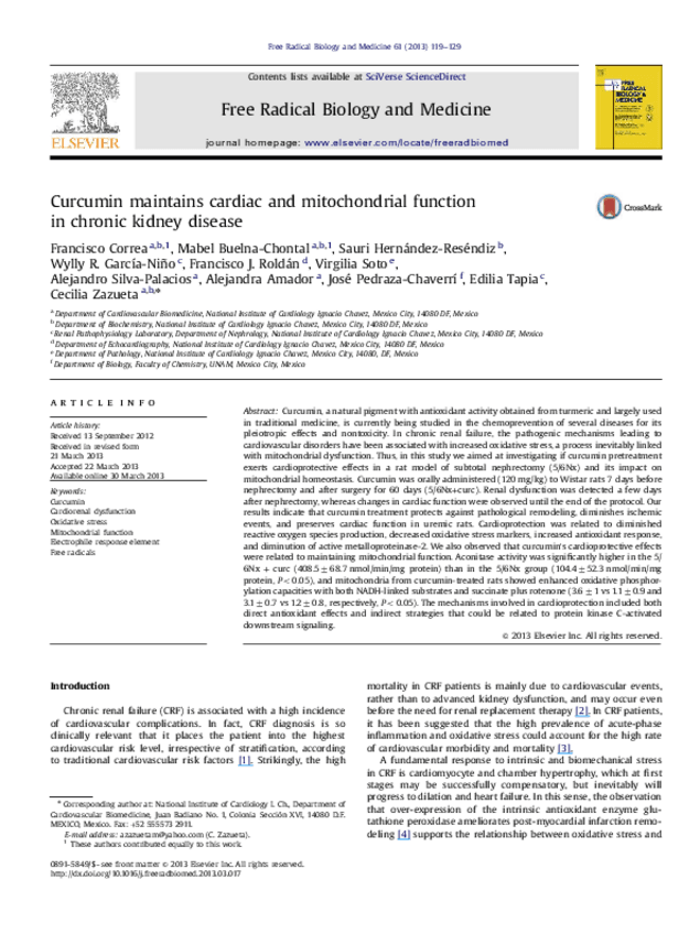 Miniatura del documento Curcuminmaintainscardiacandmitochond.pdf