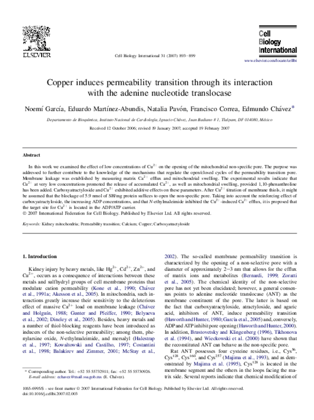 Miniatura del documento Copperinducespermeabilitytransitiont.pdf