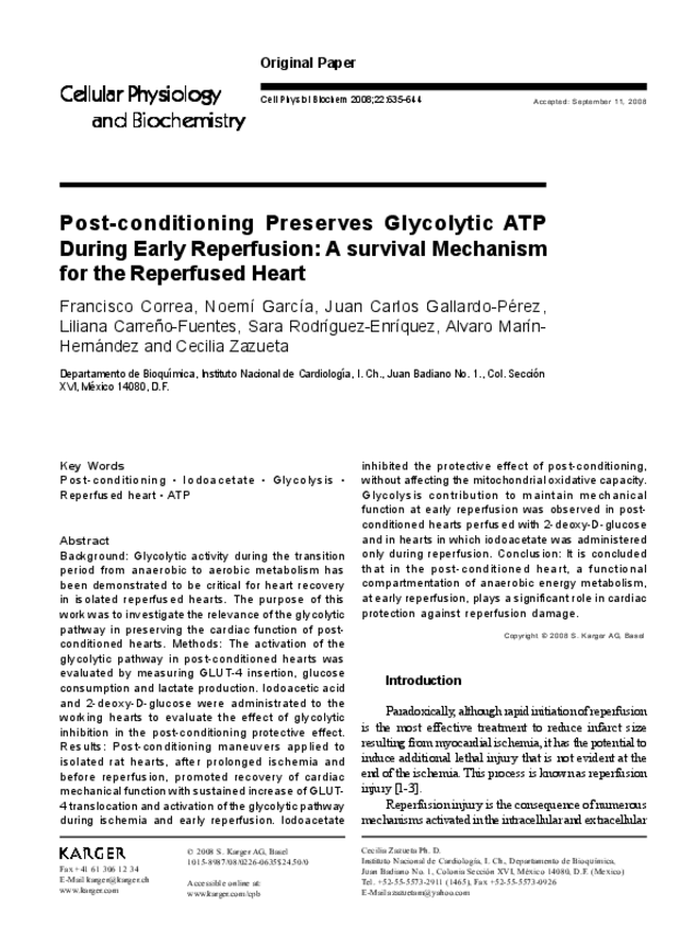 Miniatura del documento PostconditioningPreservesGlycolyticA.pdf