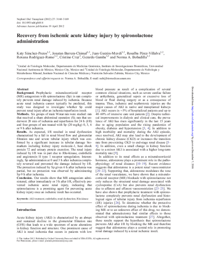 Miniatura del documento Recoveryfromischemicacutekidneyinju.pdf
