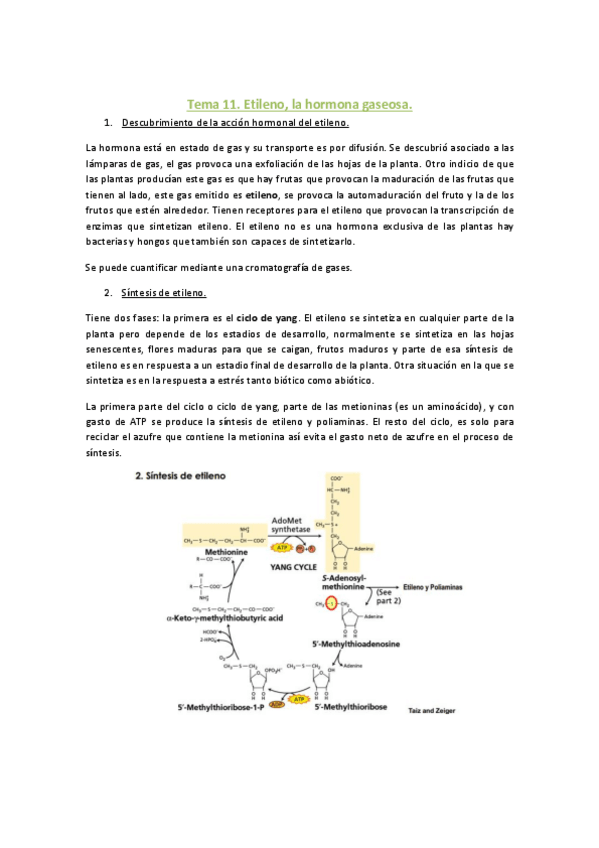 Miniatura del documento Tema 11.pdf