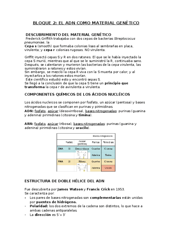 Miniatura del documento t2bloque1 mol II.docx
