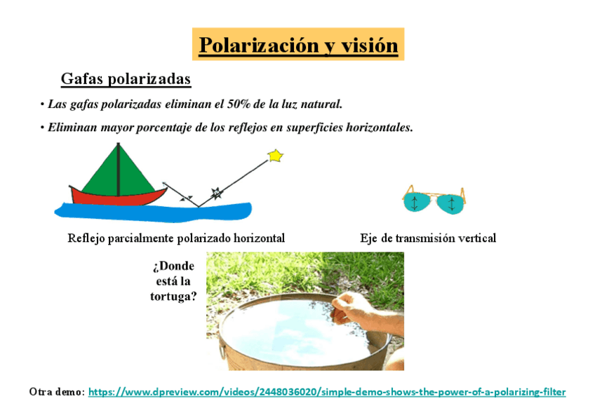 Miniatura del documento Tema-5-Polarizacion-en-Vision.pdf