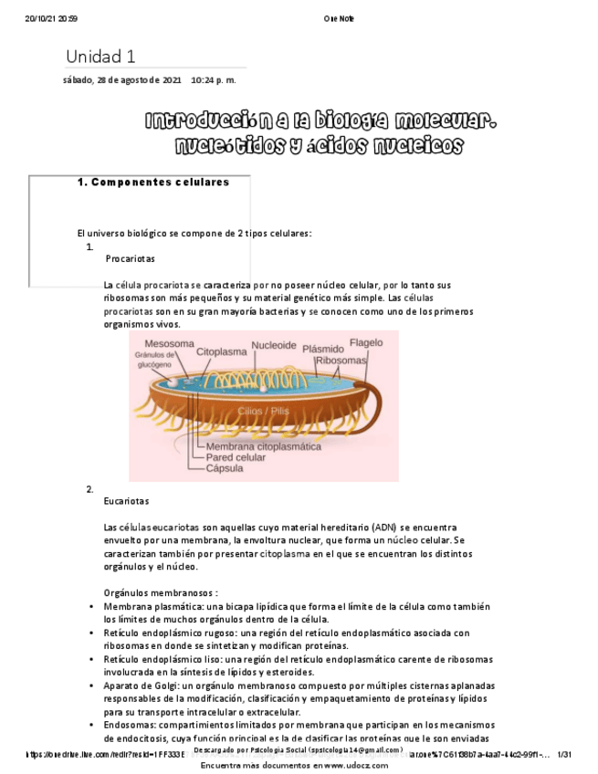 Miniatura del documento Biologia-molecular.pdf