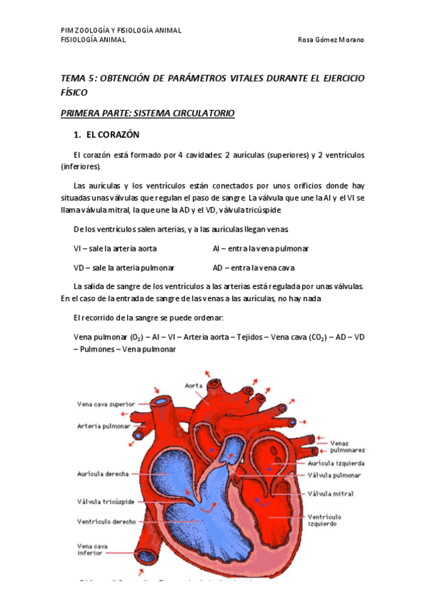 Miniatura del documento TEMA 5.pdf