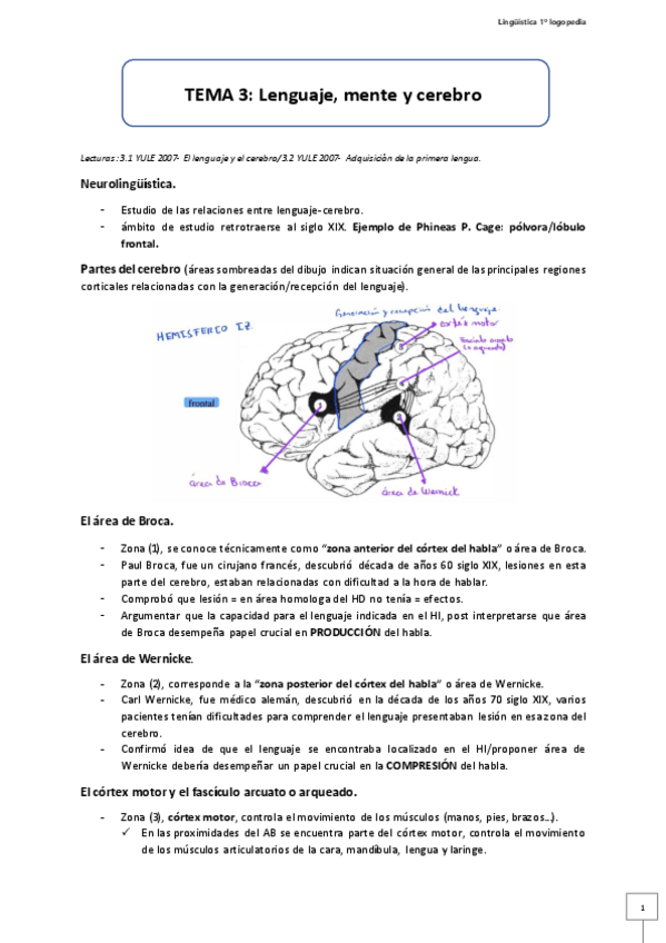 Miniatura del documento Tema-3-Lenguaje-mente-y-cerebro.pdf