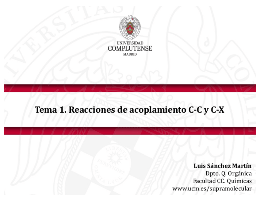 Miniatura del documento DIAPOSITIVAS-Tema-1.pdf