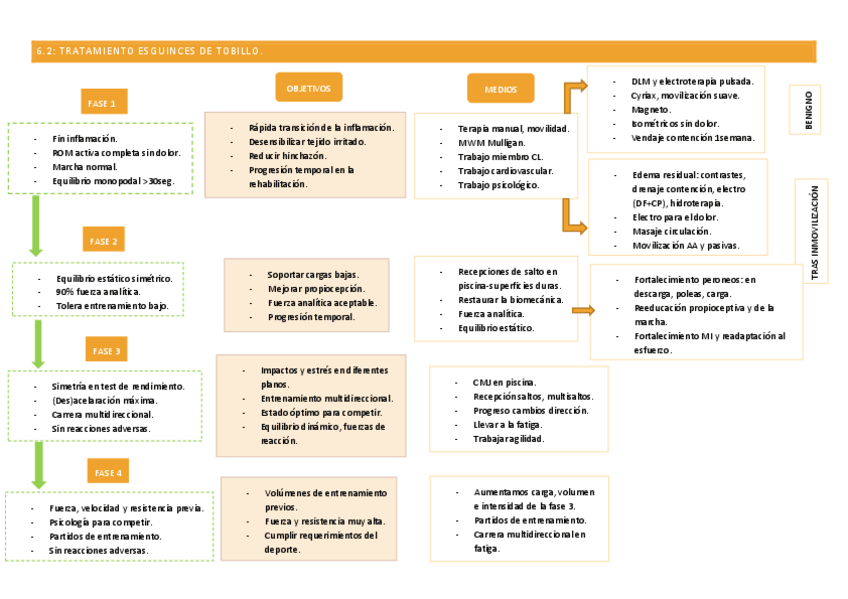 Miniatura del documento Esquemas-tratamientos.pdf