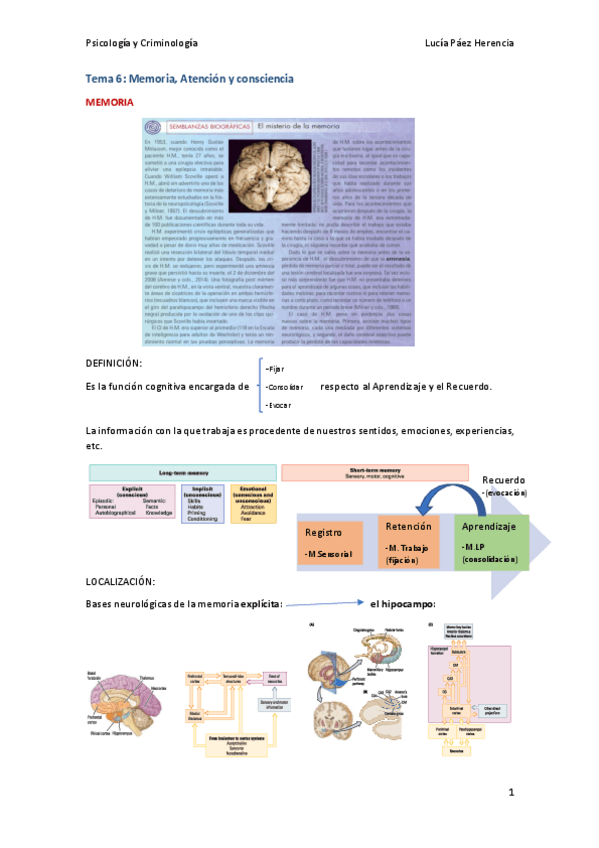 Miniatura del documento Tema 6 Neuropsicología.pdf