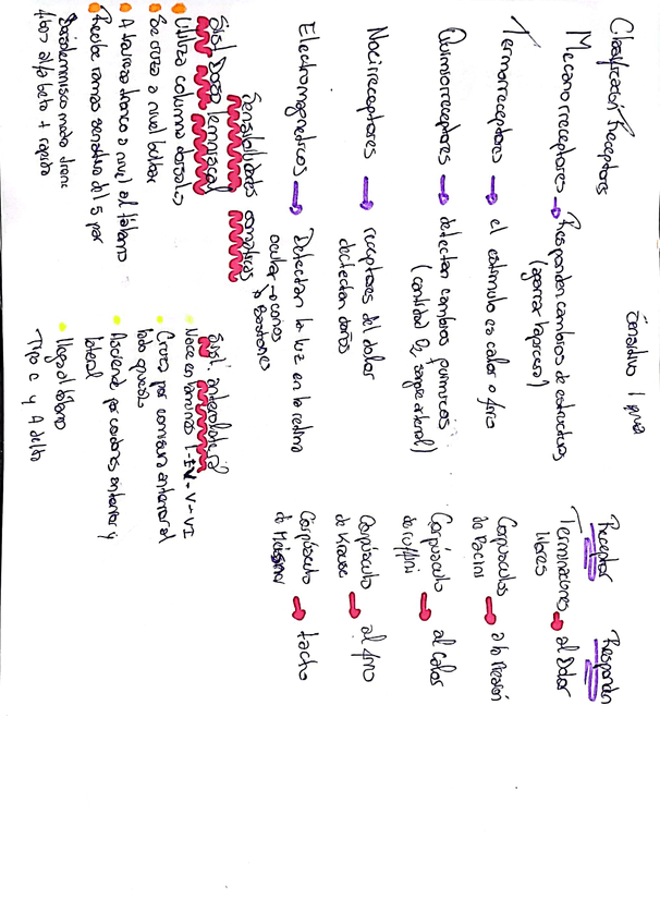 Miniatura del documento Sistema-motor.jpg