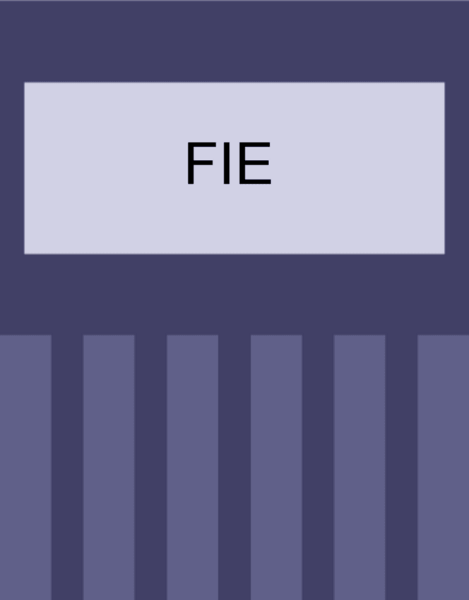 Miniatura del documento FIE.pdf