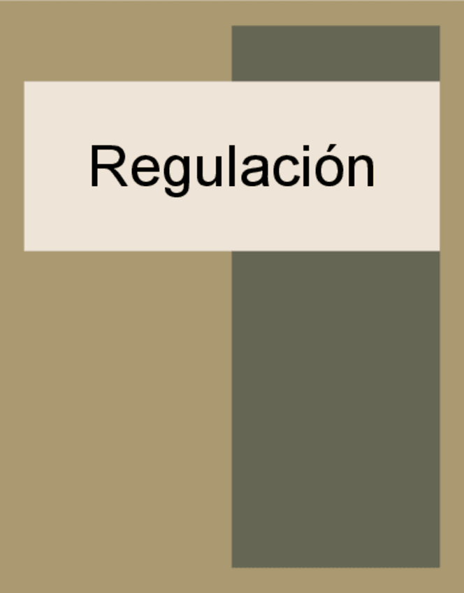 Miniatura del documento Regulacion.pdf