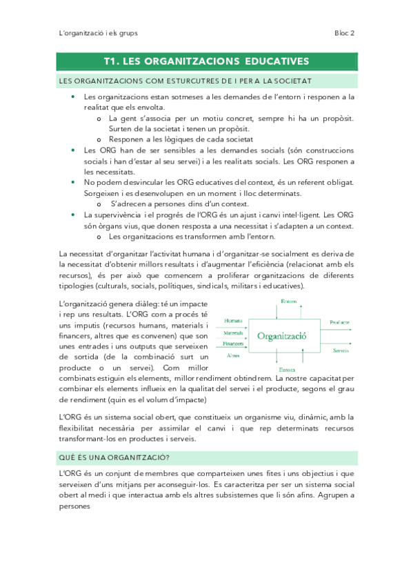 Miniatura del documento Magistral-organitzacio.pdf