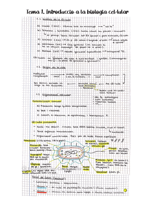 Miniatura del documento APUNTS-PARCIAL-1-BC.pdf