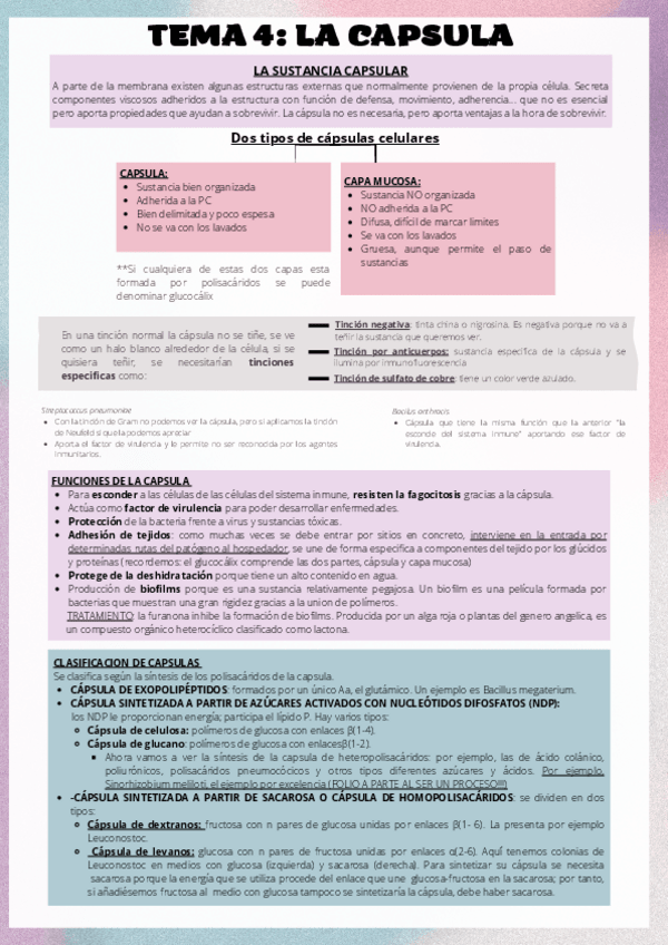 Miniatura del documento TEMA4LACAPSULA.pdf