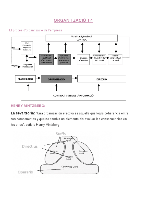 Miniatura del documento ADE-T.4-ORGANITZACIO.pdf