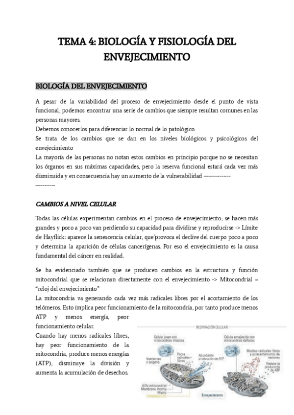 Miniatura del documento TEMA-4.pdf
