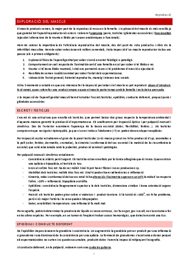 Miniatura del documento 1r-parcial.pdf