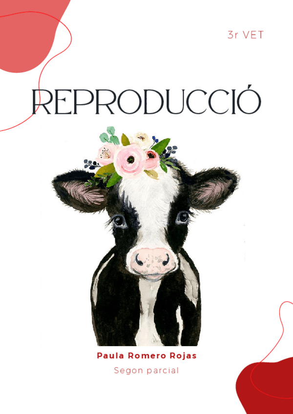 Miniatura del documento 2n-parcial.pdf