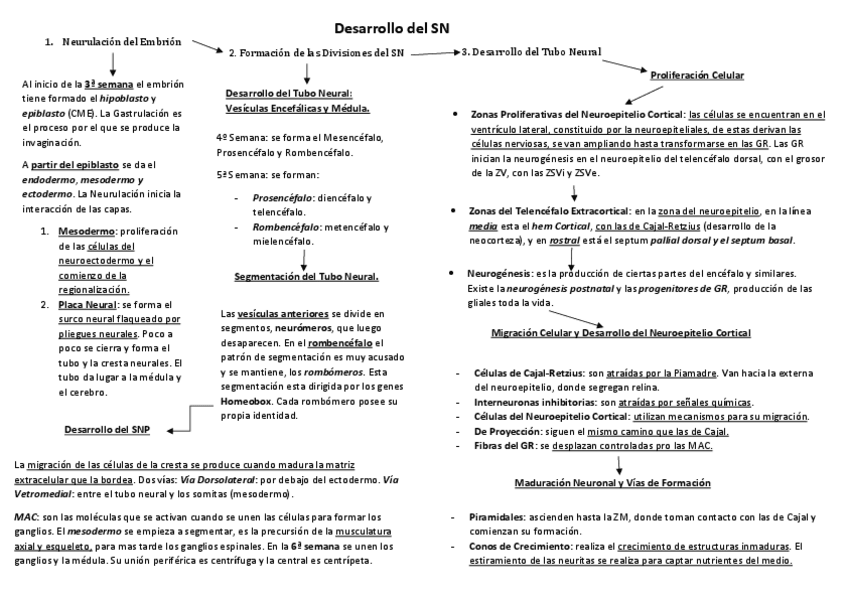 Miniatura del documento Desarrollo-del-SN-Esquema.pdf
