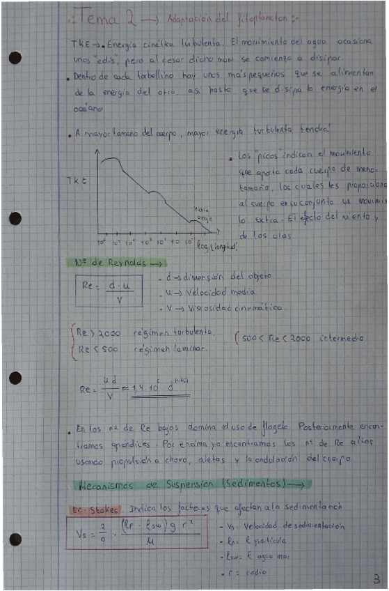 Miniatura del documento Tema-2-OB.pdf