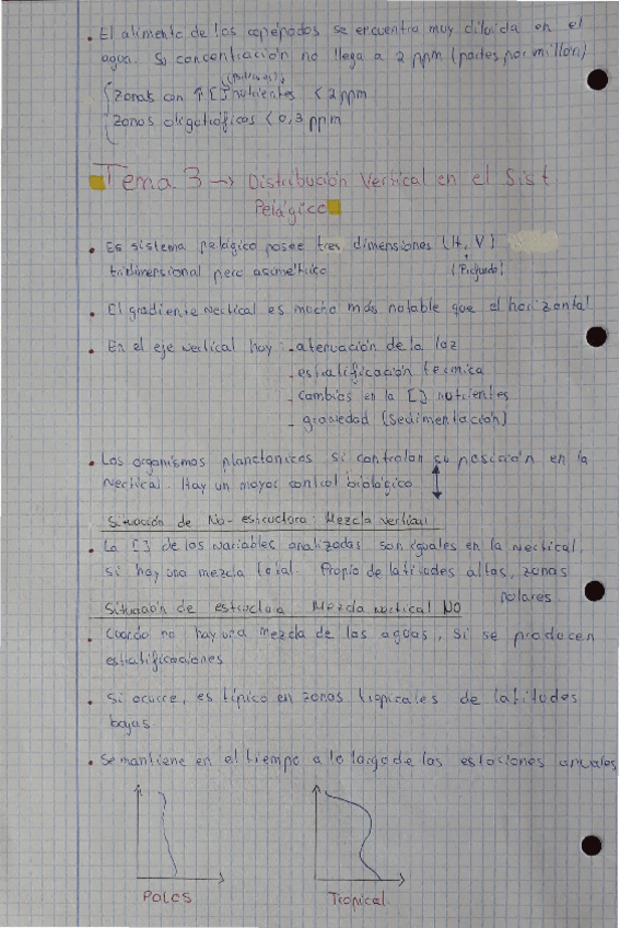 Miniatura del documento Tema-3-OB.pdf
