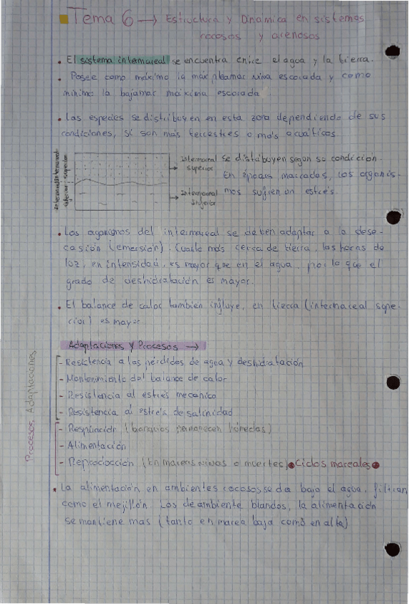 Miniatura del documento Tema-6-OB.pdf