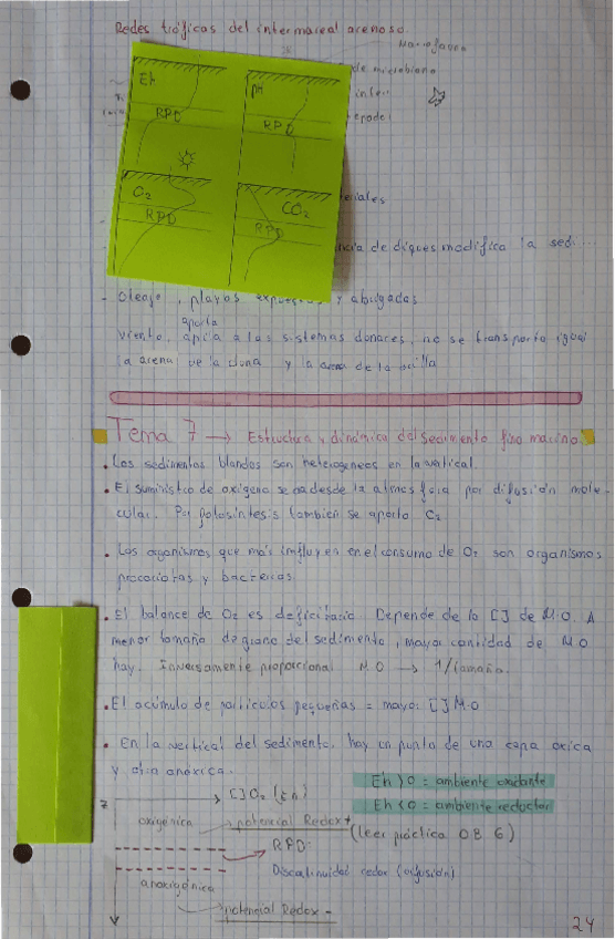 Miniatura del documento Tema-7-OB.pdf