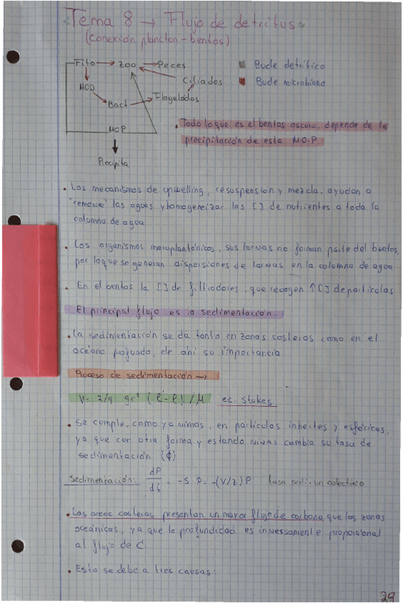 Miniatura del documento Tema-8-OB.pdf