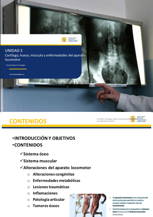 Miniatura del documento TEMA-3-Cartilago-hueso-musculo-y-enfermedades-del-aparato-locomotor.pdf