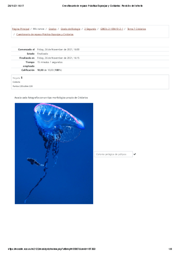 Miniatura del documento Cuestionario-de-repaso-Practica-Esponjas-y-Cnidarios.pdf