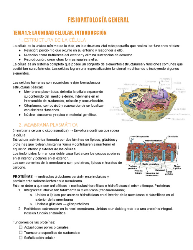 Miniatura del documento 1EVFPGFISIOPATOLOGIA-GENERAL.pdf