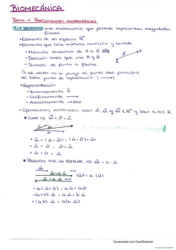 Miniatura del documento TEORIA-TEMA-1.pdf