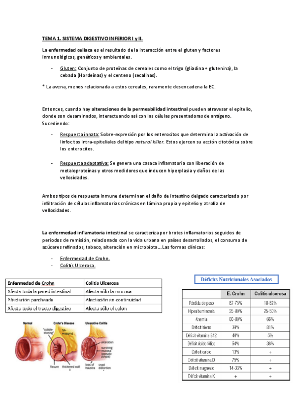 Miniatura del documento SEGON-PARCIAL.pdf