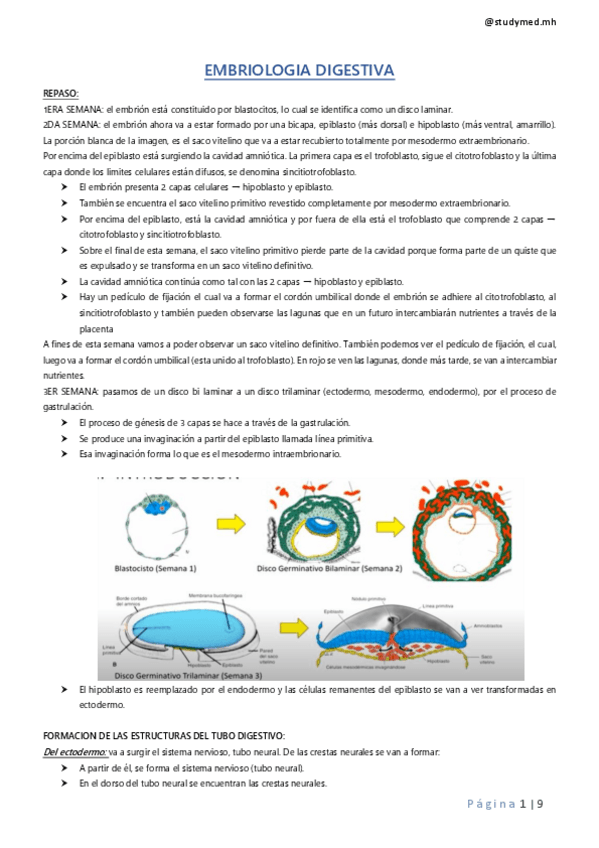 Miniatura del documento EMBRIOLOGIA-DIGESTIVA.pdf