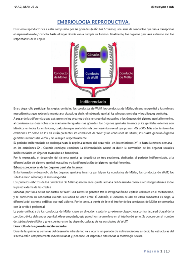 Miniatura del documento EMBRIOLOGIA-REPRODUCTIVA.pdf