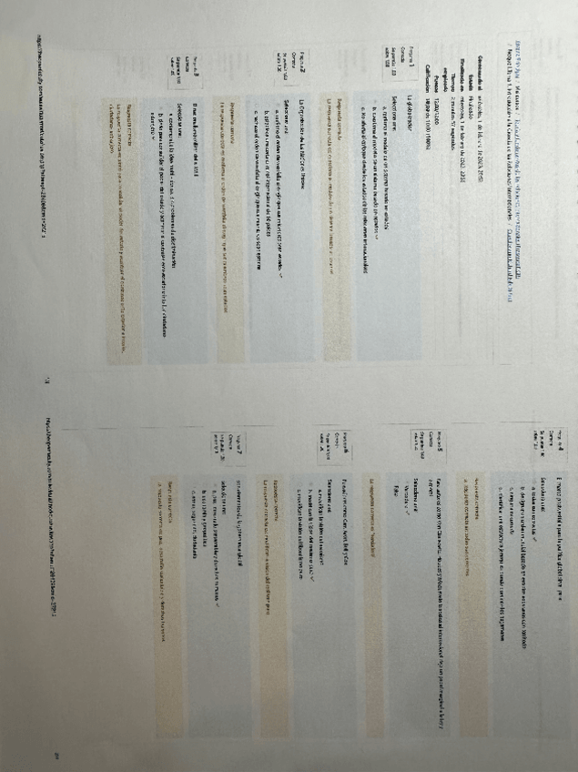 Miniatura del documento lectura-resueltacuestionario-richard-falk.pdf