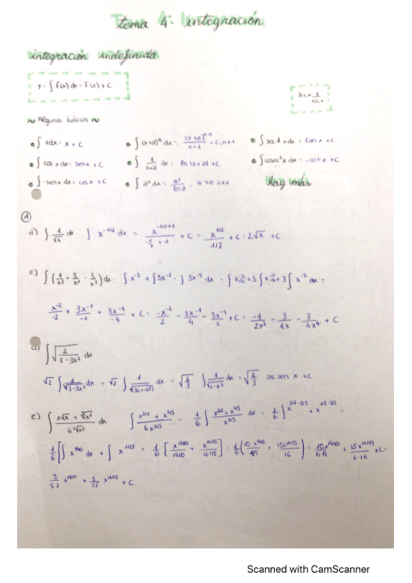 Miniatura del documento Tema-4-Integrales.pdf