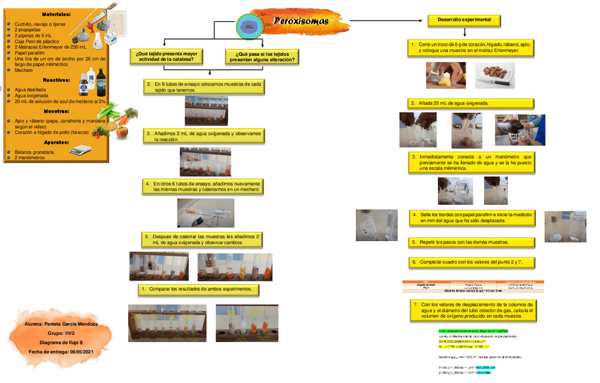 Miniatura del documento Diagrama-de-flujo-8.docx.pdf