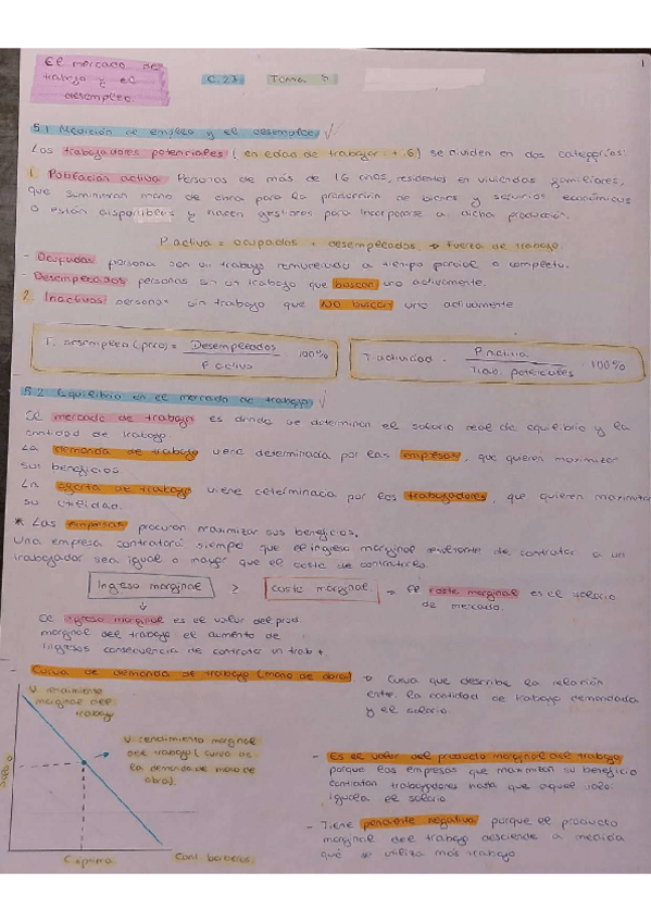 Miniatura del documento resumen-economia-t.5.pdf