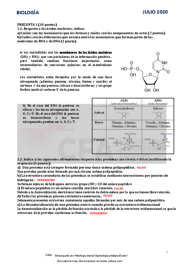 Miniatura del documento biologia-con-soluciones.pdf