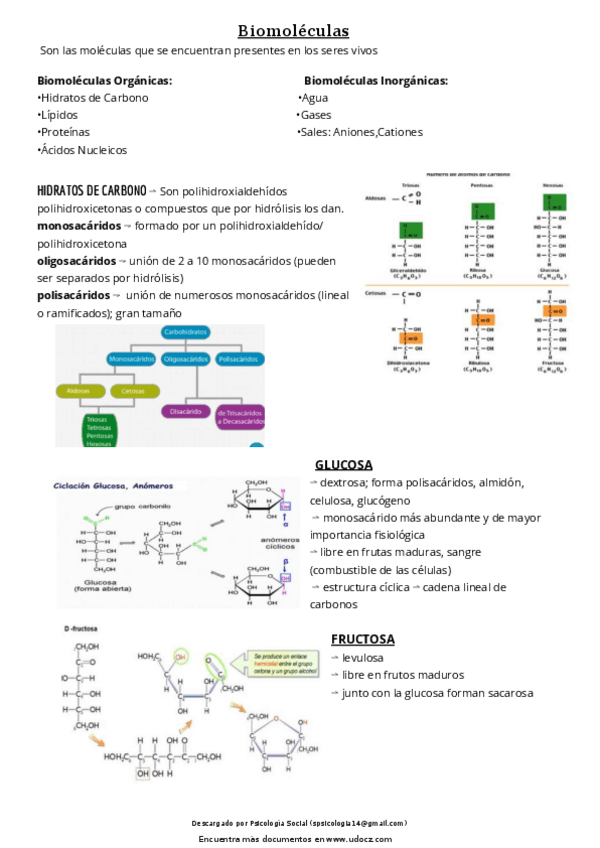 Miniatura del documento quimica-biologia-.pdf